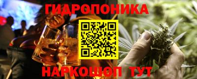 крисы Кунгур