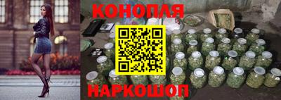 крисы Кунгур
