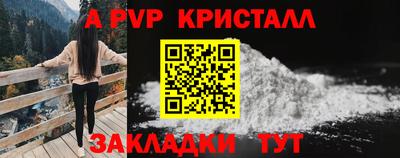 крисы Кунгур
