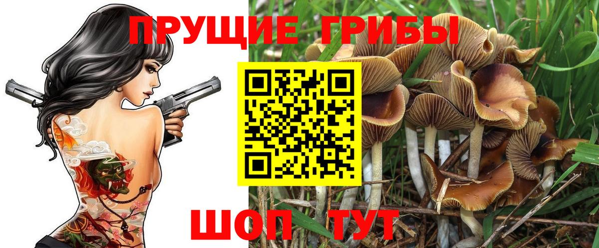 Cocaine Кудрово