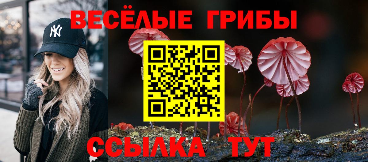 Галлюциногенные грибы мицелий  Псилоцибиновые грибы MAGIC MUSHROOMS  Кудрово  Вход с VPN 