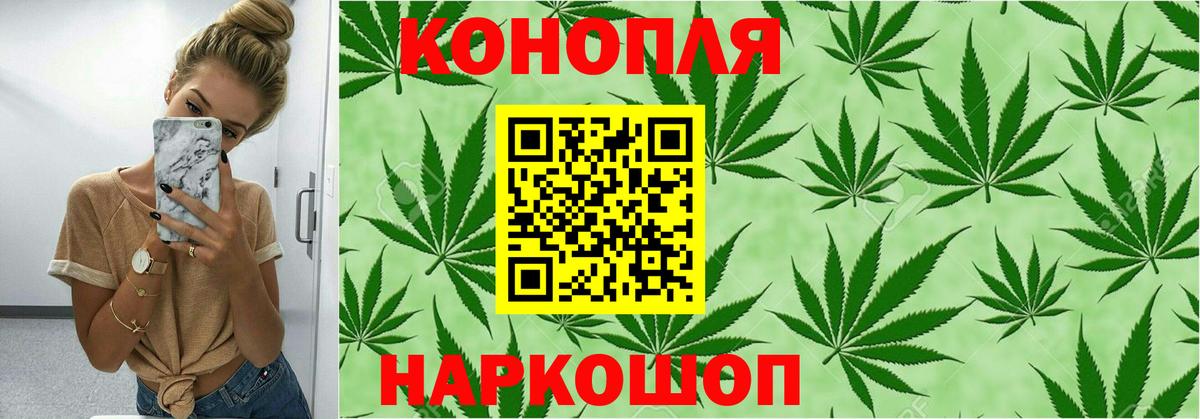 Канабис Amnesia  Каннабис Bruce Banner  Вход с VPN  Кудрово  Конопля гибрид 